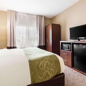 King Suite Mobility accessible